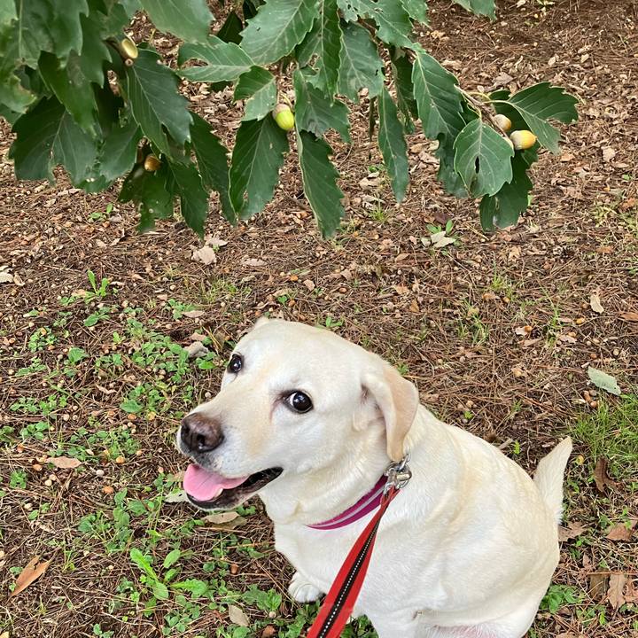 Aa9d6004 5095 4cdb a451 f711bfda1e06 1665442906296