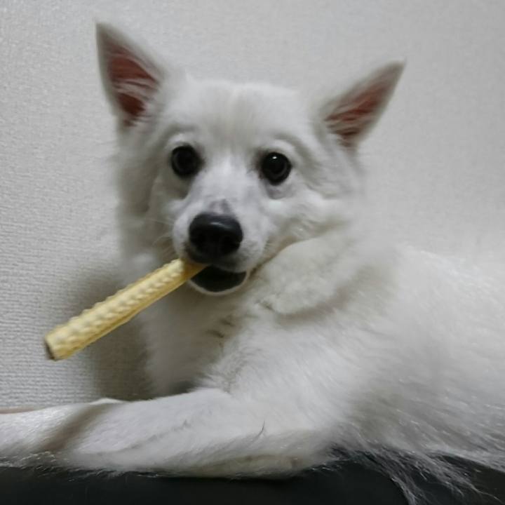 Aa9d6cd0 02ae 462d 9167 7d28a8dbc321 1509281103242