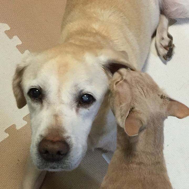 Aa9dd28c 455c 44ee 8a90 04b2ba4bb35e 1515489190057