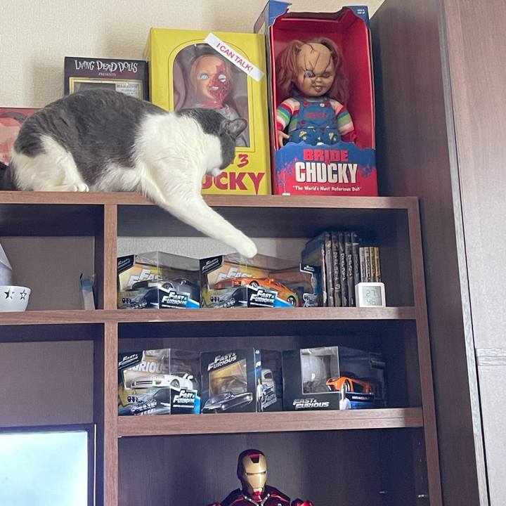 Aa9dd919 3fdb 418e b498 68ed887e1bf3 1658634124325