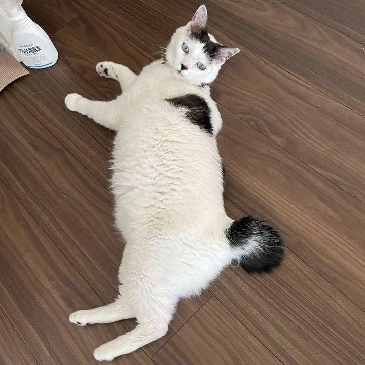 Aa9dd9c9 f565 46b0 867e fc7411c16e34 1690501071245