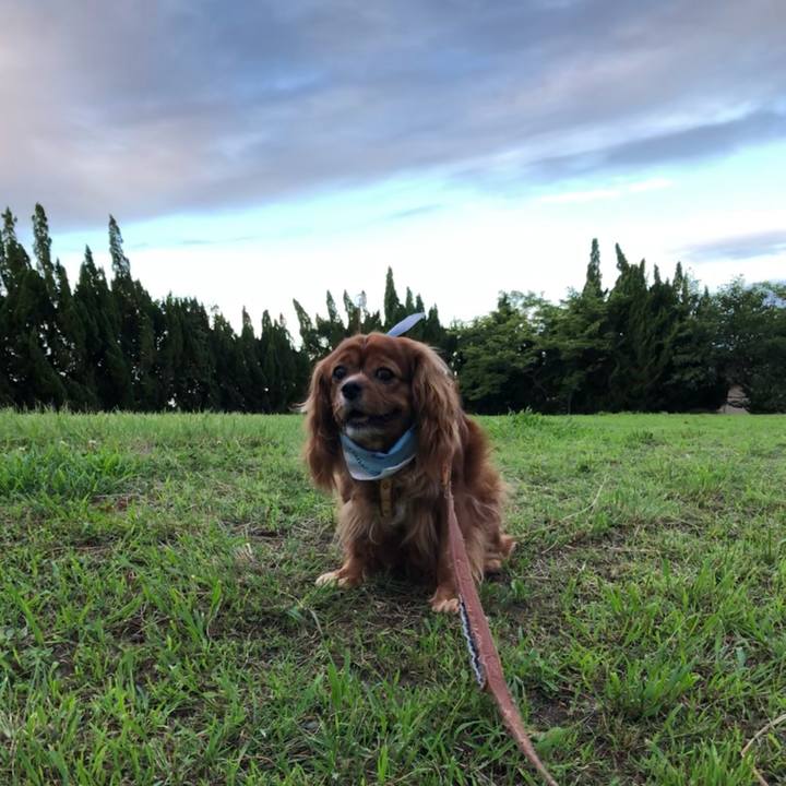 Aa9df5dc 3173 47ea acc6 85ce8c19d750 1626558823168