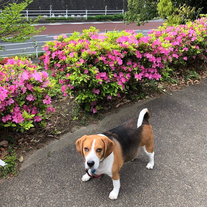 Aa9df60f a37e 4164 96c3 c396497e5d4b 1617937613869