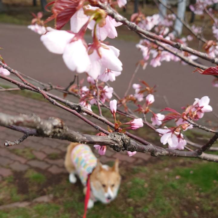 Aa9e0b62 e3bf 4b13 a8fc 29f5d612789c 1776814947829