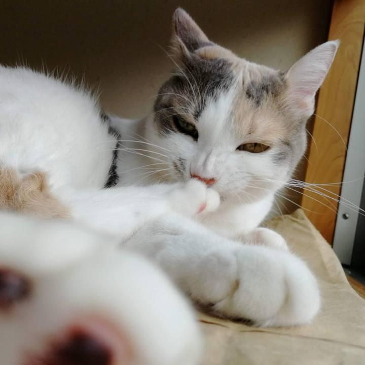 Aa9e4111 6488 4352 96c9 d68b52c57379 1595686184406