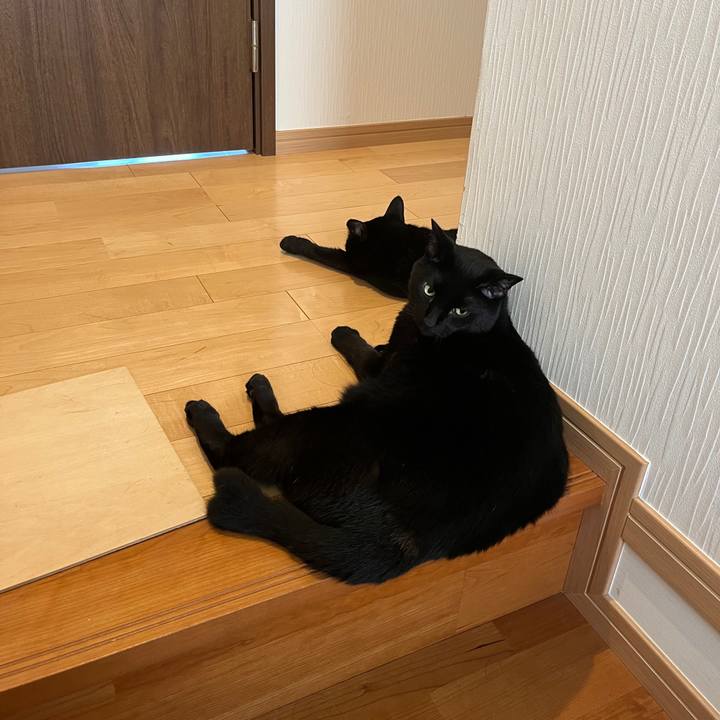 Aa9e657d 4a84 43af 842d 6eab2d1fb568 1656595155296