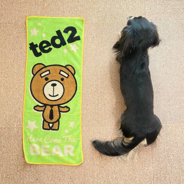 Aa9ed490 17ea 44c4 a96c b40dd404f480 1731643798382