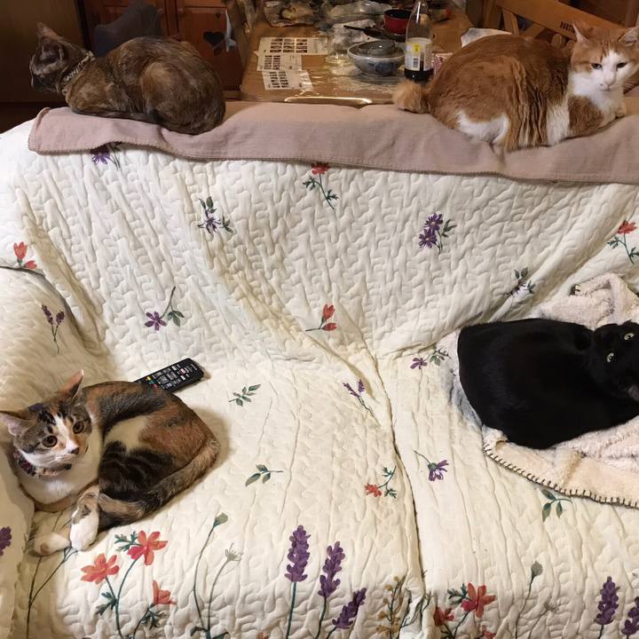 Aa9ef1e4 1158 4540 849d 9eb2d0fc17a0 1611315807484