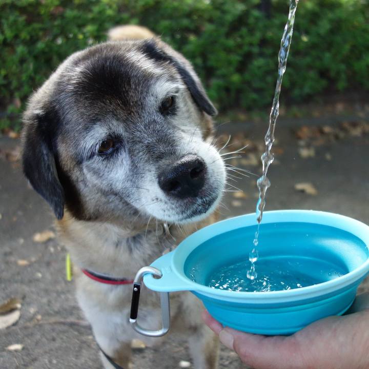 Aa9f2082 170d 4192 a76f 69897b503a0e 1565652174613