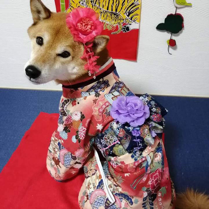 Aa9f968d 6289 459f b15a 67bd22257a6f 1641886550197