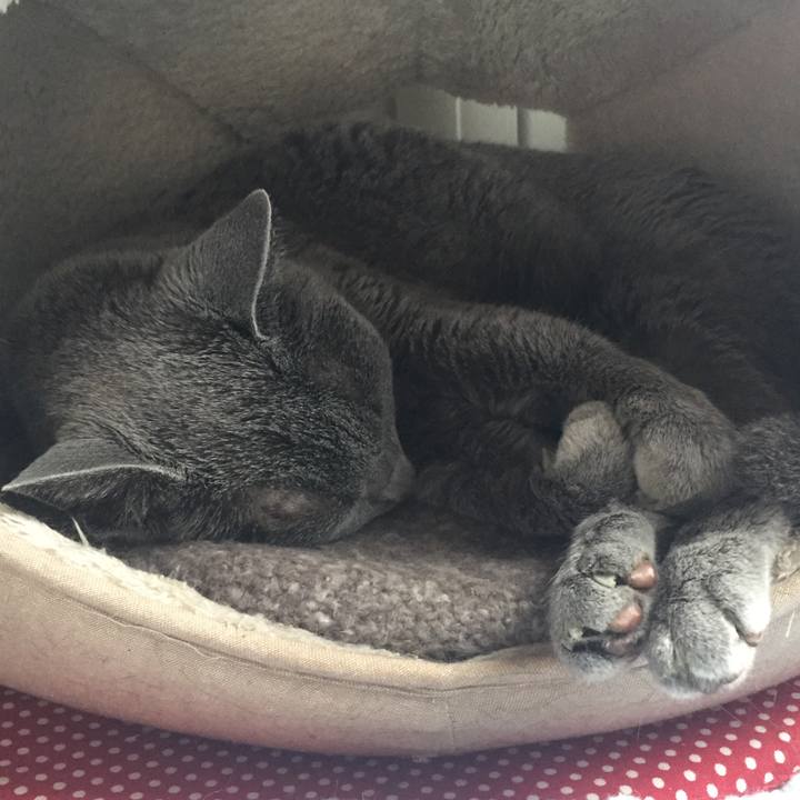 Aa9fa24e e297 42e2 967c 66ef4789e1d2 1560208775217