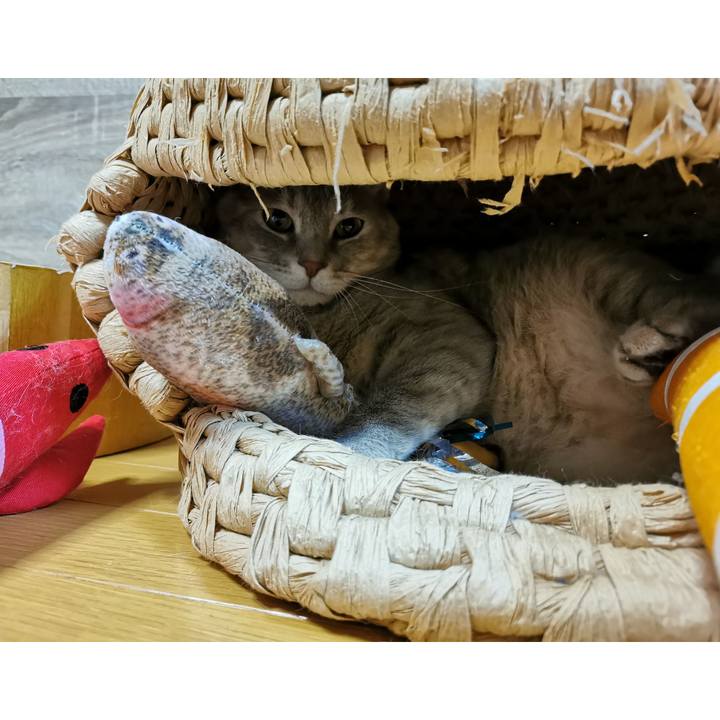 Aa9fab71 5123 4d5f 97fa 663b58295e18 1617113910348