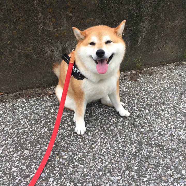 Aa9fd42b 758f 412c b6cd e582ecc0909a 1595902417600