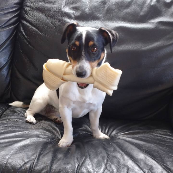 Aa9fe2df 4d14 4fd6 a6af 3dca1b6ec648 1615477836367