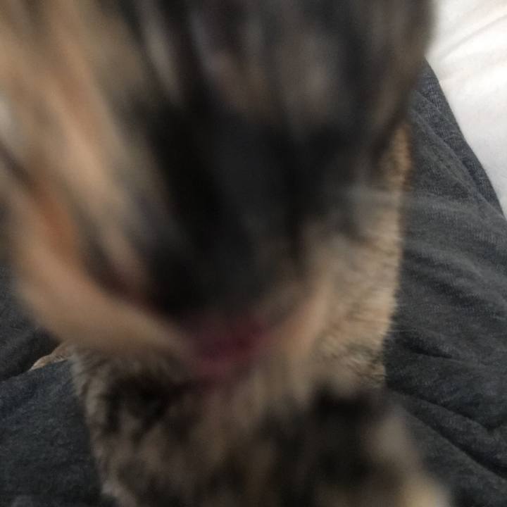 Aa9ff330 5ed0 44d0 88da 5b2174c8b66b 1524266380705