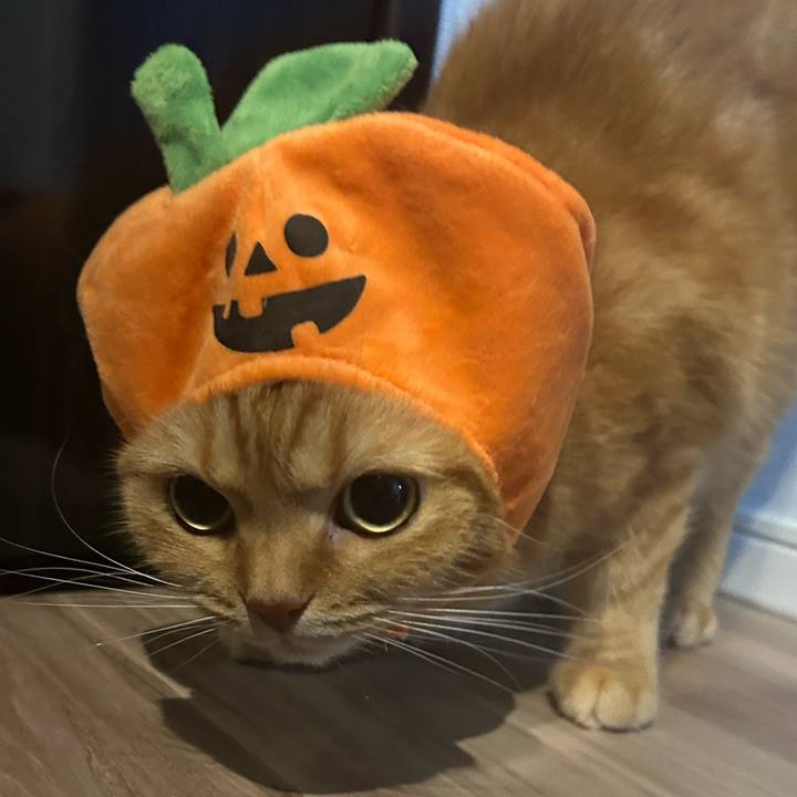 Aaa01a02 de45 427c 82a8 4b7ab1de39cf 1761918324545