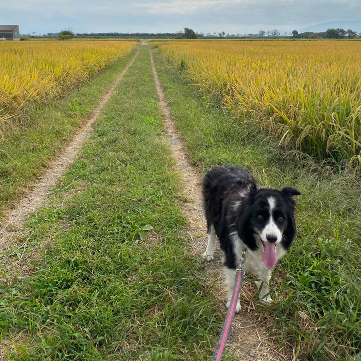 Aaa01cbd c85c 48f8 8c45 5038353df7e8 1697260899422