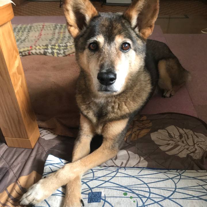 Aaa04aed 73af 4286 b13a 2d3ee0e73dfa 1539597475200