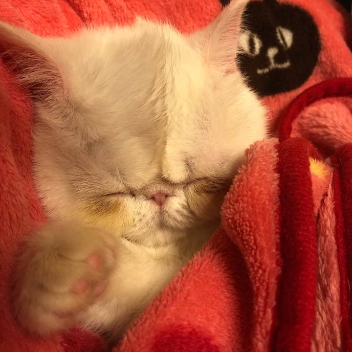 Aaa0518d 1dc5 4254 a059 4915253c6bbc 1547121719415