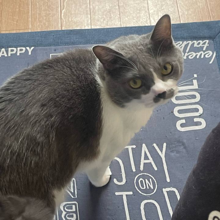 Aaa05b91 ee06 47a8 9d3b 74621c7e9282 1730847552949