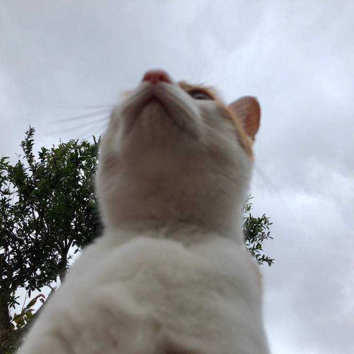 Aaa08e7e 090e 4d50 86e6 a85bb768f62c 1539140967703