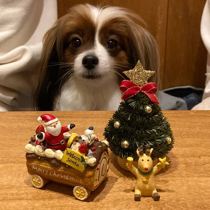 Aaa0c0dd 2a44 4a4f 8f6a e90e42cf00ef 1671863356377