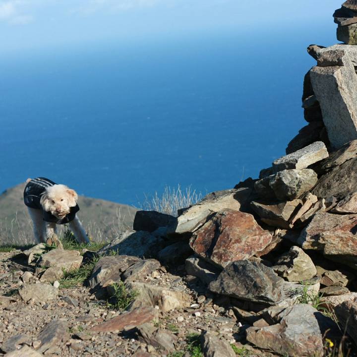 Aaa0c969 3405 4318 b3b6 dca8a4747a32 1544772829992