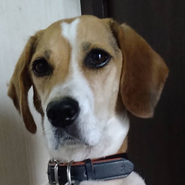 Aaa0cdc2 3257 4e02 bf11 832779b67354 1630837233949