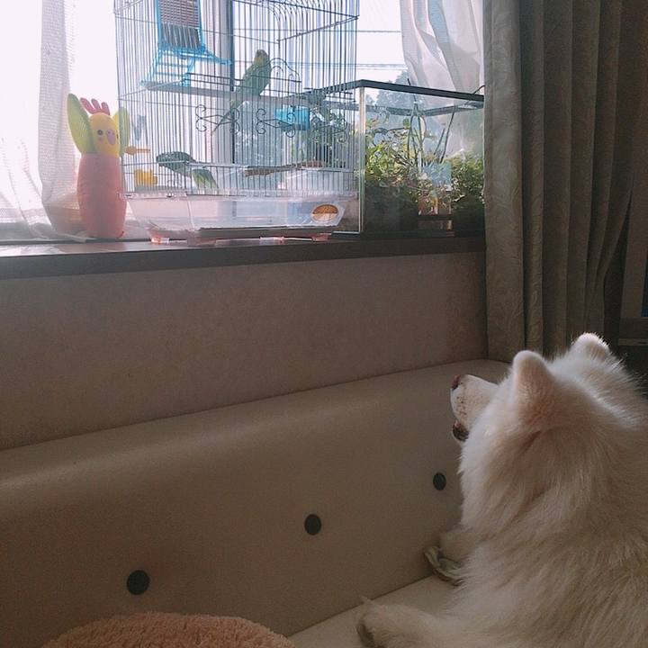 Aaa0e40b 2cb5 443f 8d10 31f300a78adb 1560042925639