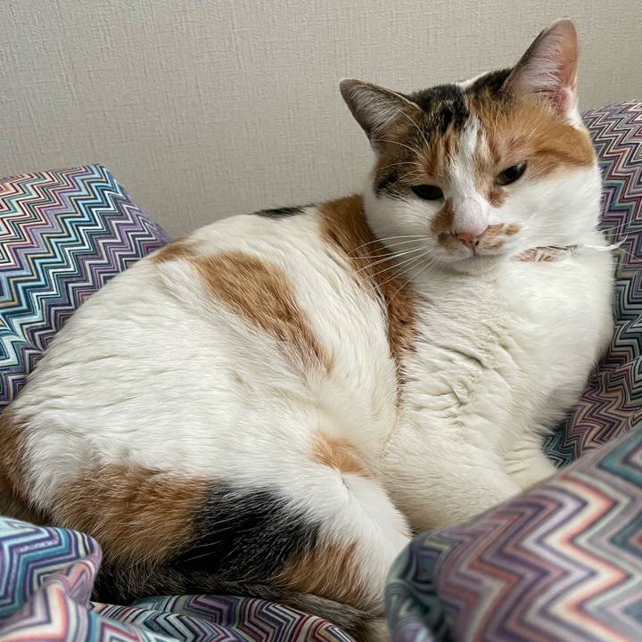 Aaa102bc 07c6 447f 9dad 6854d41cd58e 1644971680548