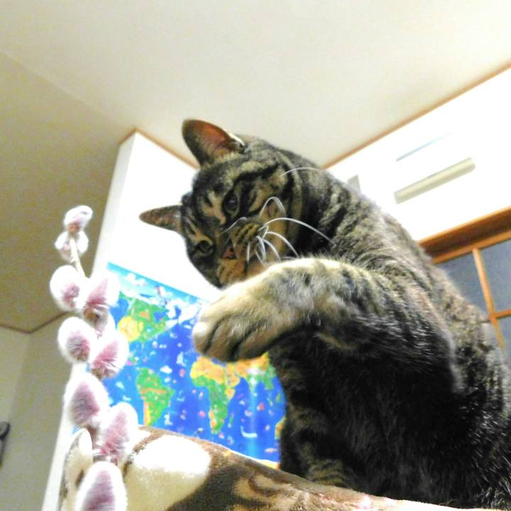 Aaa128ef 85b3 44fb 8479 2186b6eaf946 1519234119148