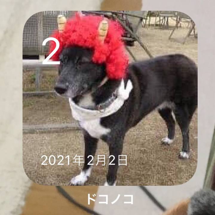 Aaa12c7e b8f2 4f56 a190 501974fb93f7 1643788888629