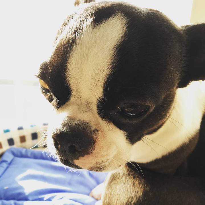 Aaa191ed 6104 454e 84a6 333f01baf50b 1517025487263