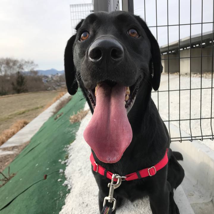 Aaa1d749 da4d 47a9 ac5f 752efc318276 1515479940221