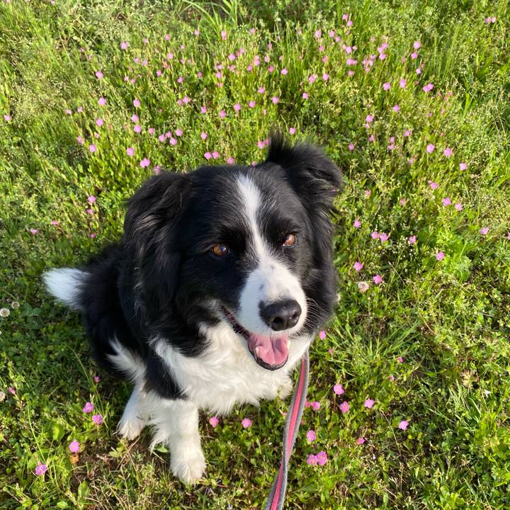 Aaa1d9a3 d856 4c63 9cef 1f09727c7ad6 1651101031688