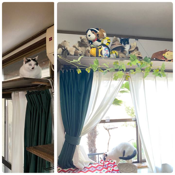 Aaa1f3de 9bf2 449b 93fc 310f82bf98f3 1711843711024