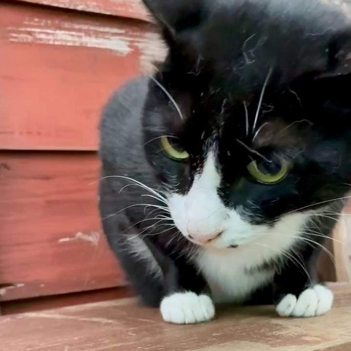 Aaa1f3ed 8d96 4b49 bfd9 304f09b860a0 1752831107097