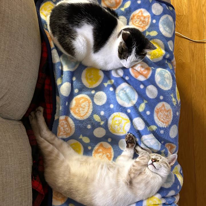 Aaa212e5 5347 48a0 9eff 1c85114af4a6 1730299969996