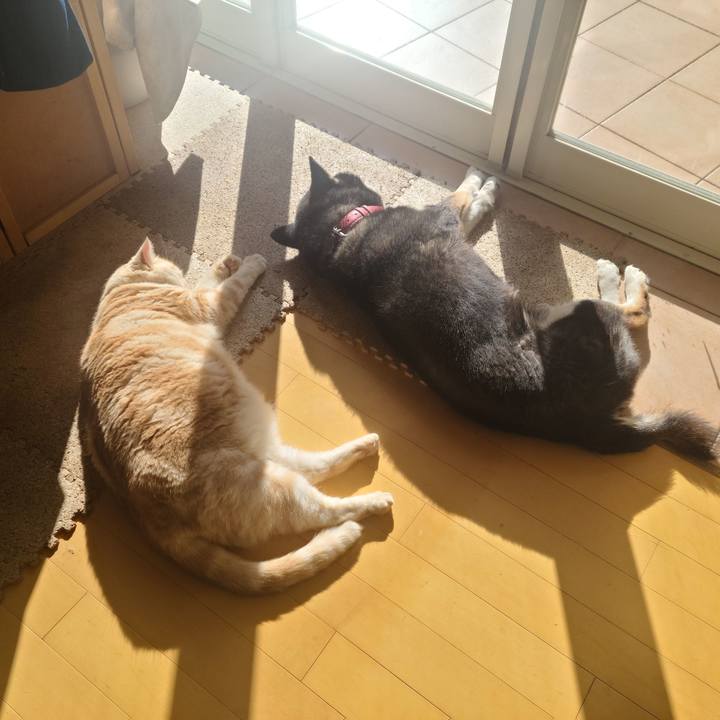 Aaa23982 ecba 4934 9f67 78b146c8b71a 1641961666551