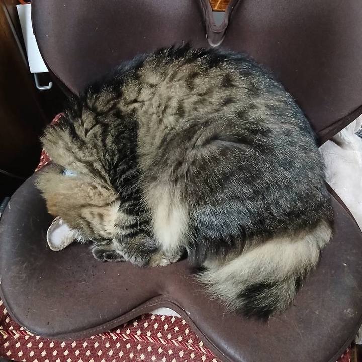 Aaa2542a f296 45e8 80a2 f0bb92f1c740 1764161384920