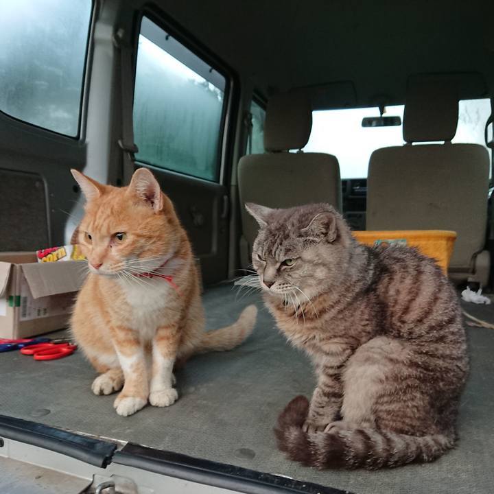 Aaa26b42 3ef1 43e1 bfd4 23f60ed23099 1569963407132