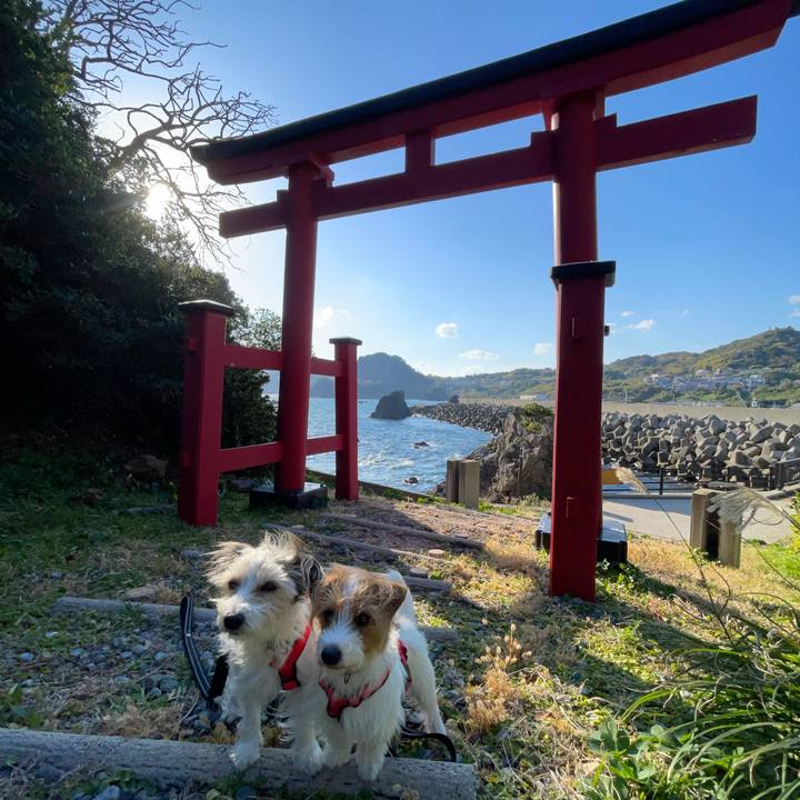 Aaa29380 fea5 45ae 952f e486c6e10d8e 1764587992543