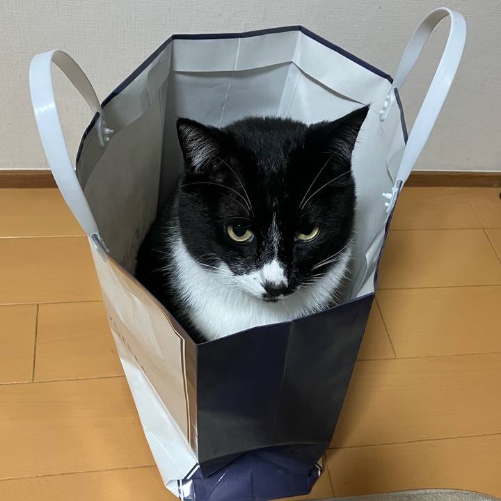 Aaa2970e d270 47f9 aafc e1d948be36b3 1687144597752