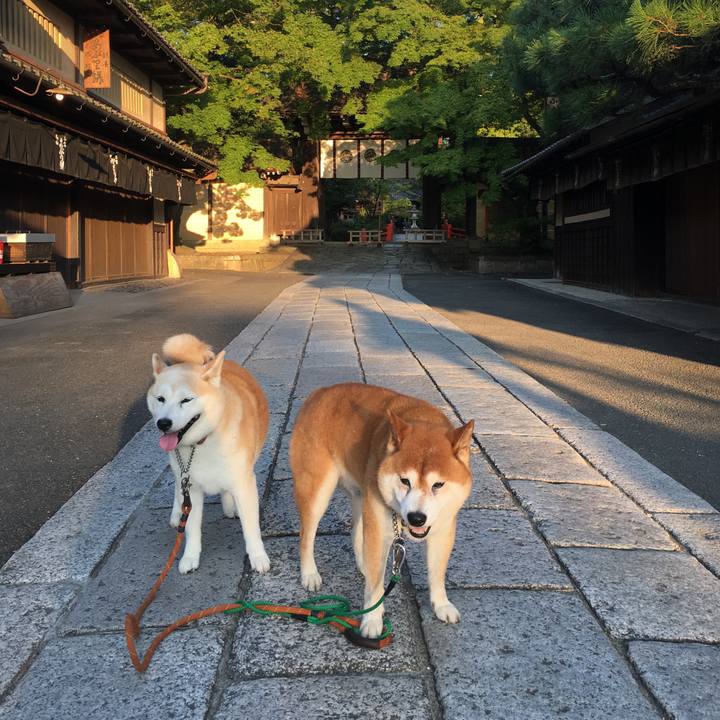 Aaa2ad42 02a4 44b2 9334 bcaa223b9251 1533623904314