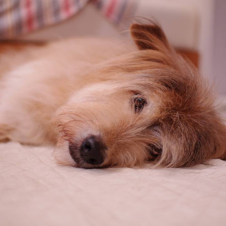 Aaa2cf98 d46d 4542 b7e0 472912861cd7 1576315896872