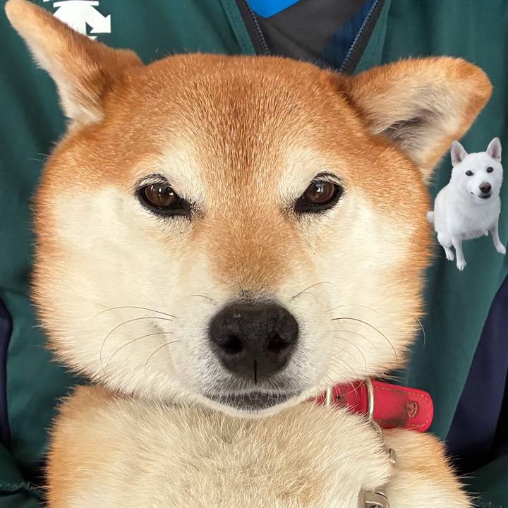 Aaa30cfb 3e50 4309 b924 d72dd010b707 1743840074835