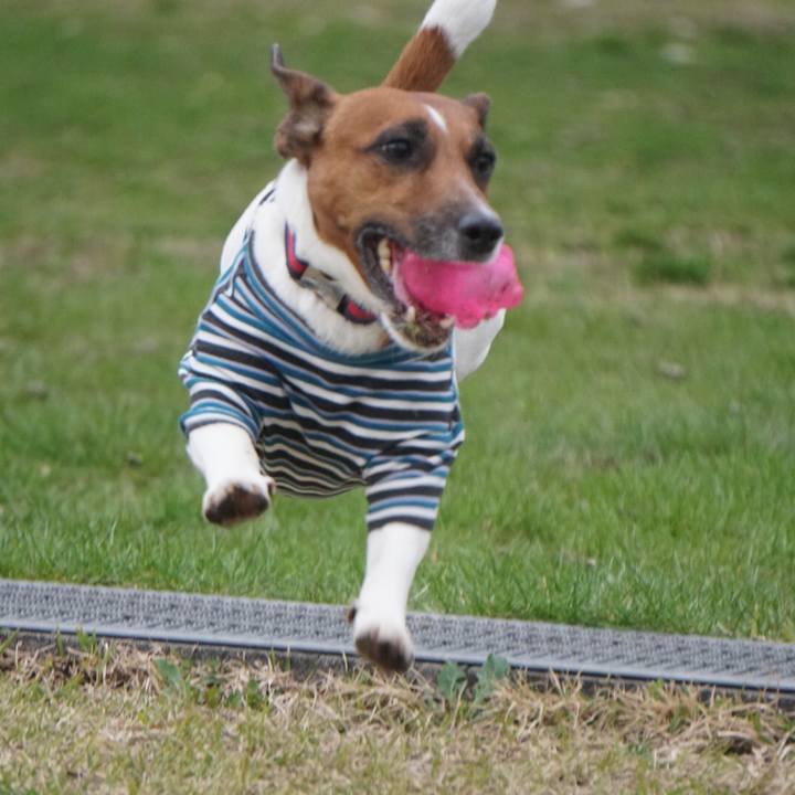 Aaa31a88 947b 4326 a8e5 833fda066a9e 1521759509477