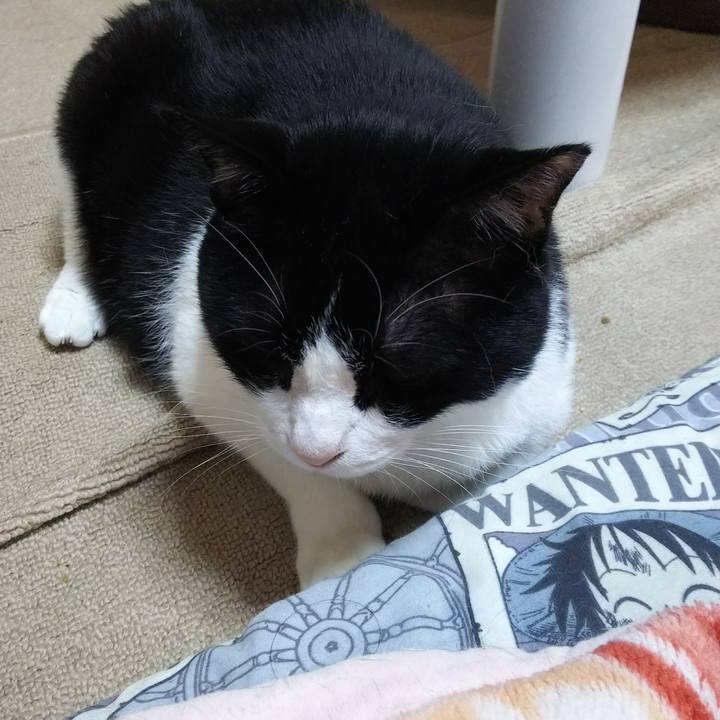 Aaa33057 35d1 4ca5 bfd3 a3606452fc84 1527111751783