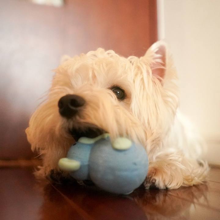 Aaa35f2e 7765 4345 8222 4b28150b4c02 1513818327877