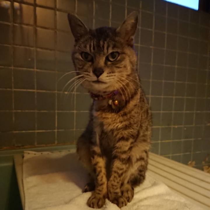 Aaa37353 a5f8 43b5 9677 259932745bc8 1591266077643